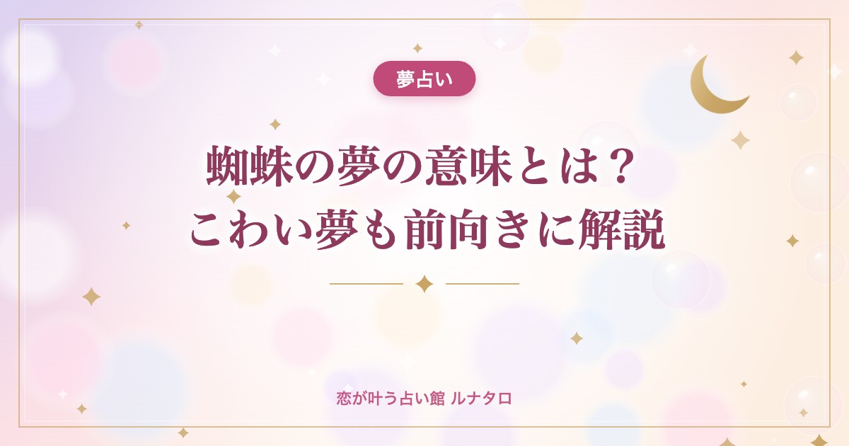 蜘蛛の夢の意味とは?こわい夢も前向きに解説