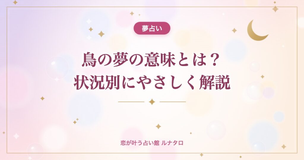 鳥の夢の意味とは？状況別にやさしく解説