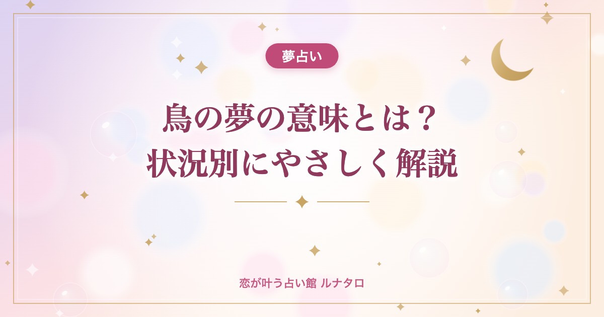 鳥の夢の意味とは?状況別にやさしく解説