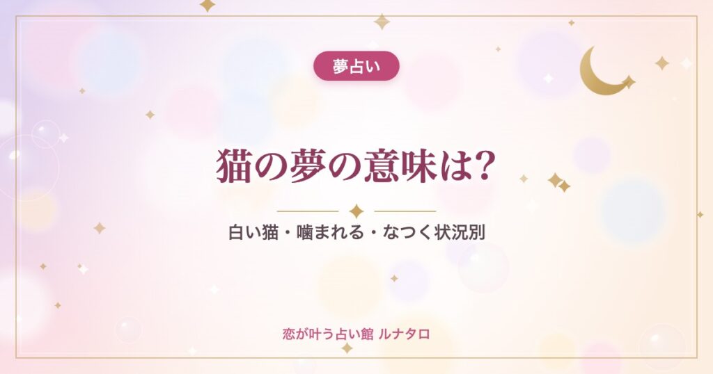 猫の夢の意味は?｜白い猫・噛まれる・なつく状況別